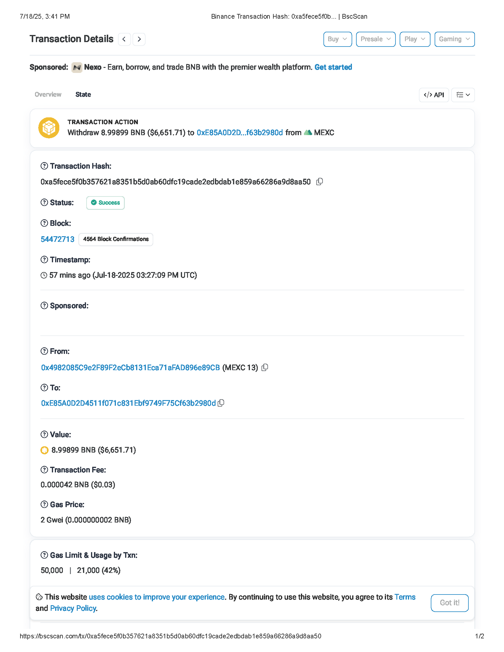 BscScan transaction PDF preview